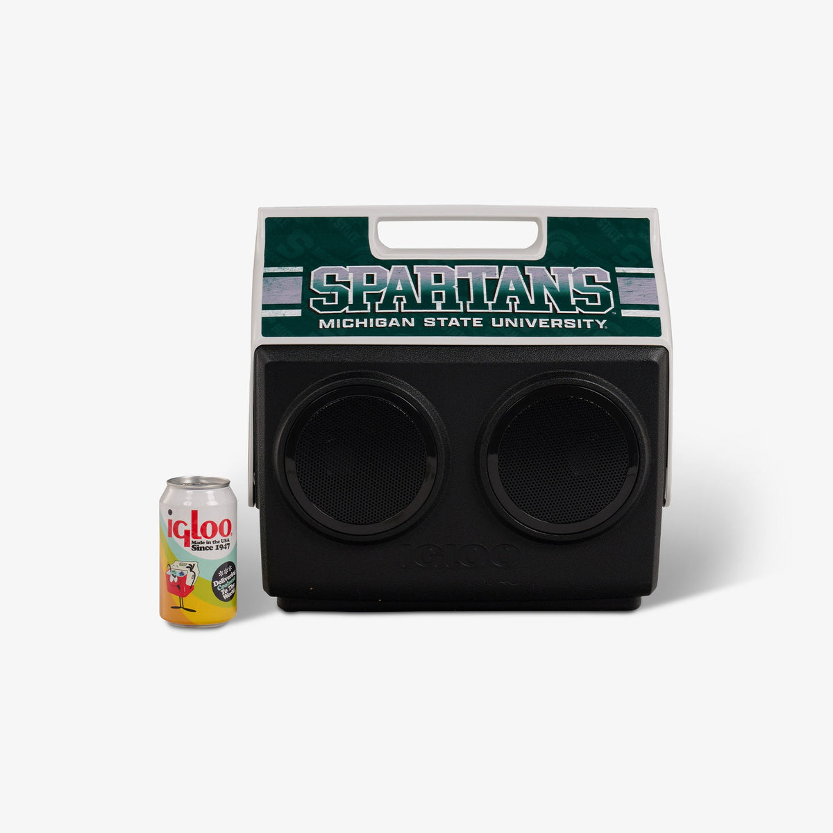 michigan-state-university-kooltunes-z4 00027730-P.jpg