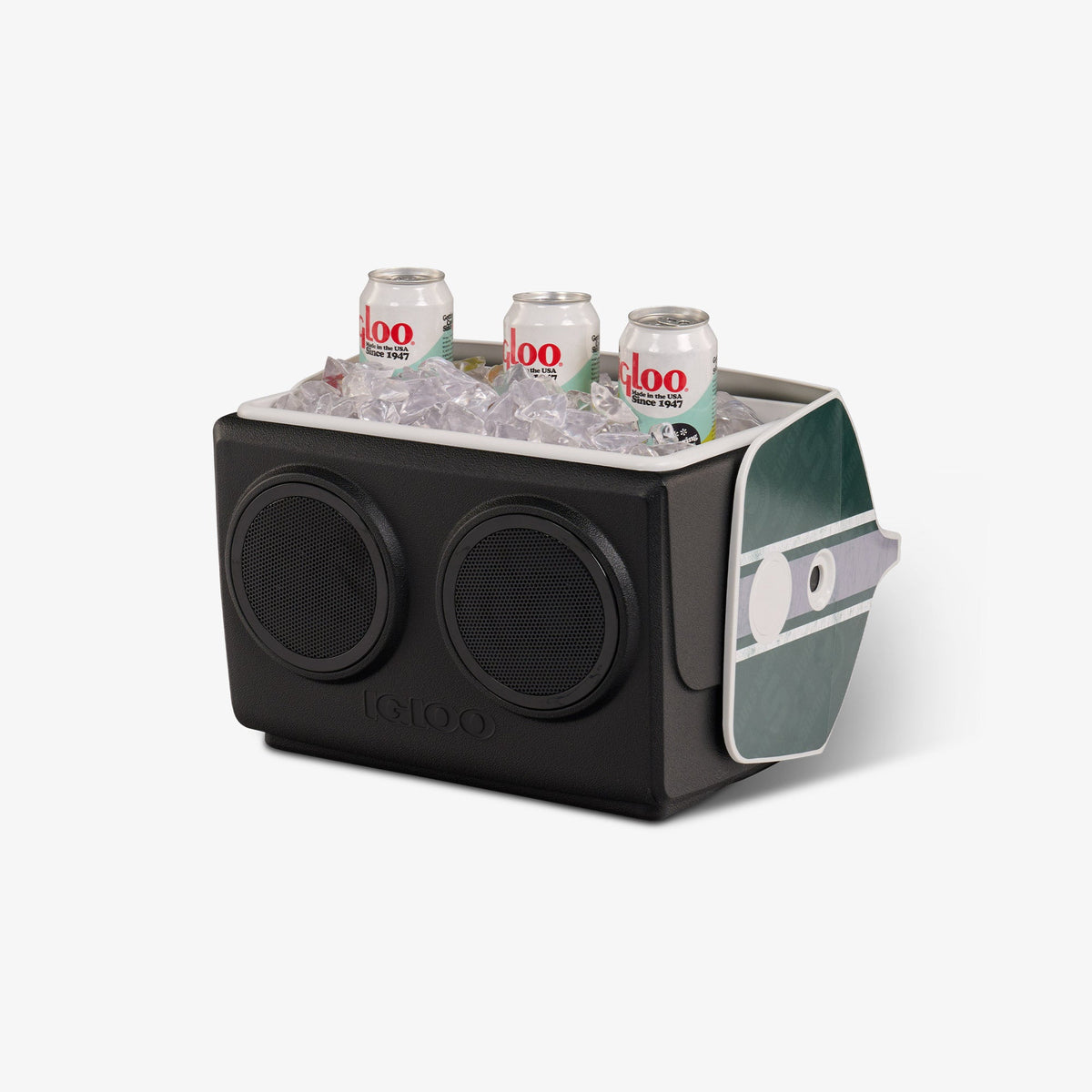 michigan-state-university-kooltunes-z4 00027730-P1.jpg