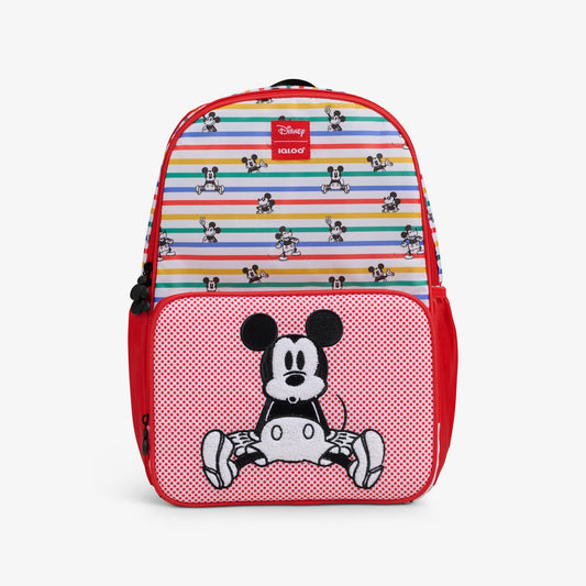 disney-mickey-mouse-stripe-24-can-backpack-i7 00027931-F.jpg