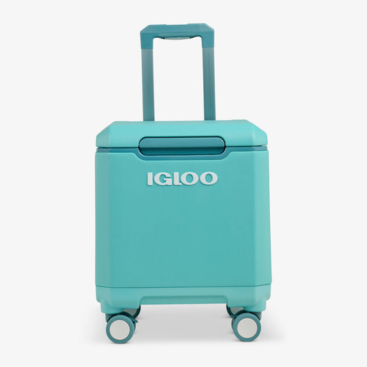 tag-along-too-spinner-cooler-l8 00033184-F1_b51e854c-365a-4272-b384-7c3dd41ac0b8.jpg