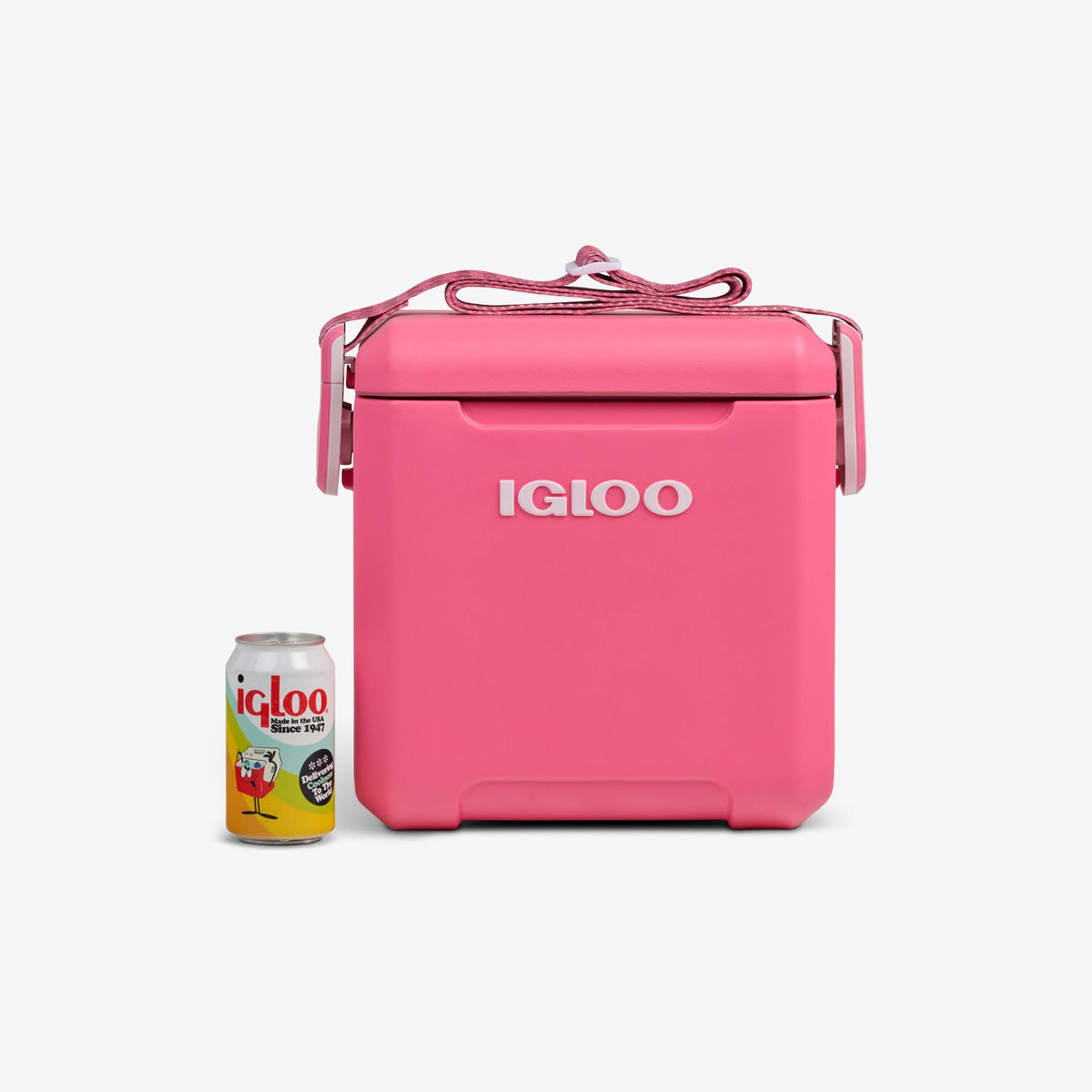 tag-along-too-remix-cooler-t2 00033199-P_861a5cd2-f15c-4217-a471-e33cc3890d9e.jpg