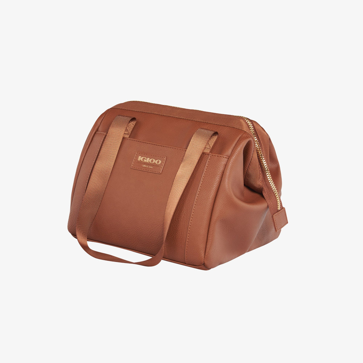 igloo-luxe-lunch-tote-cooler-bag-d1 00061160_2.jpg