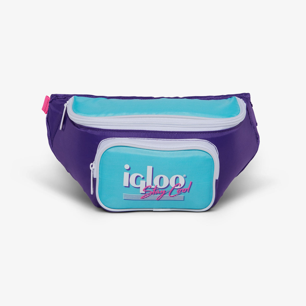 retro-fanny-pack-e2 00066056-F.jpg