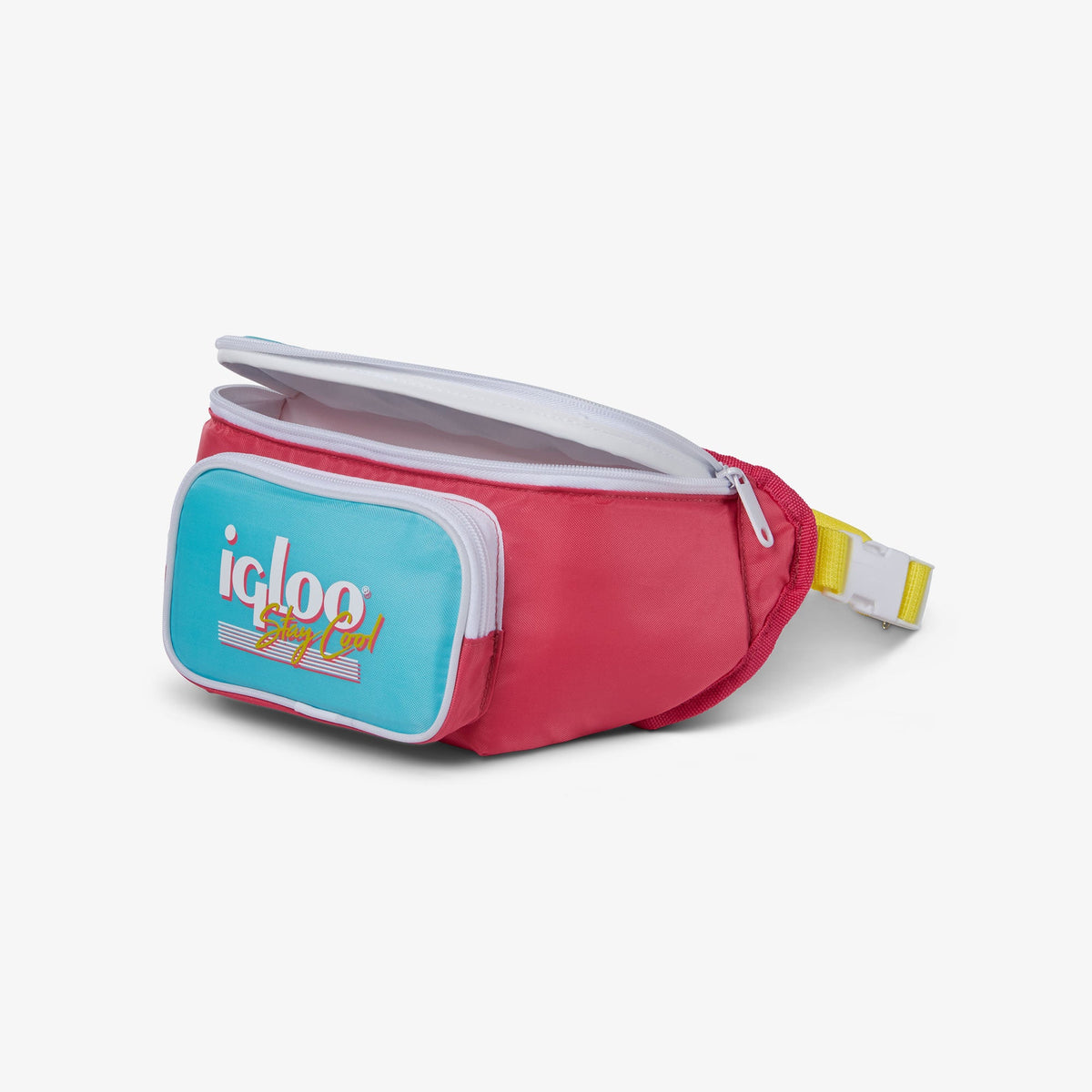 retro-fanny-pack-e2 00066058-O1.jpg