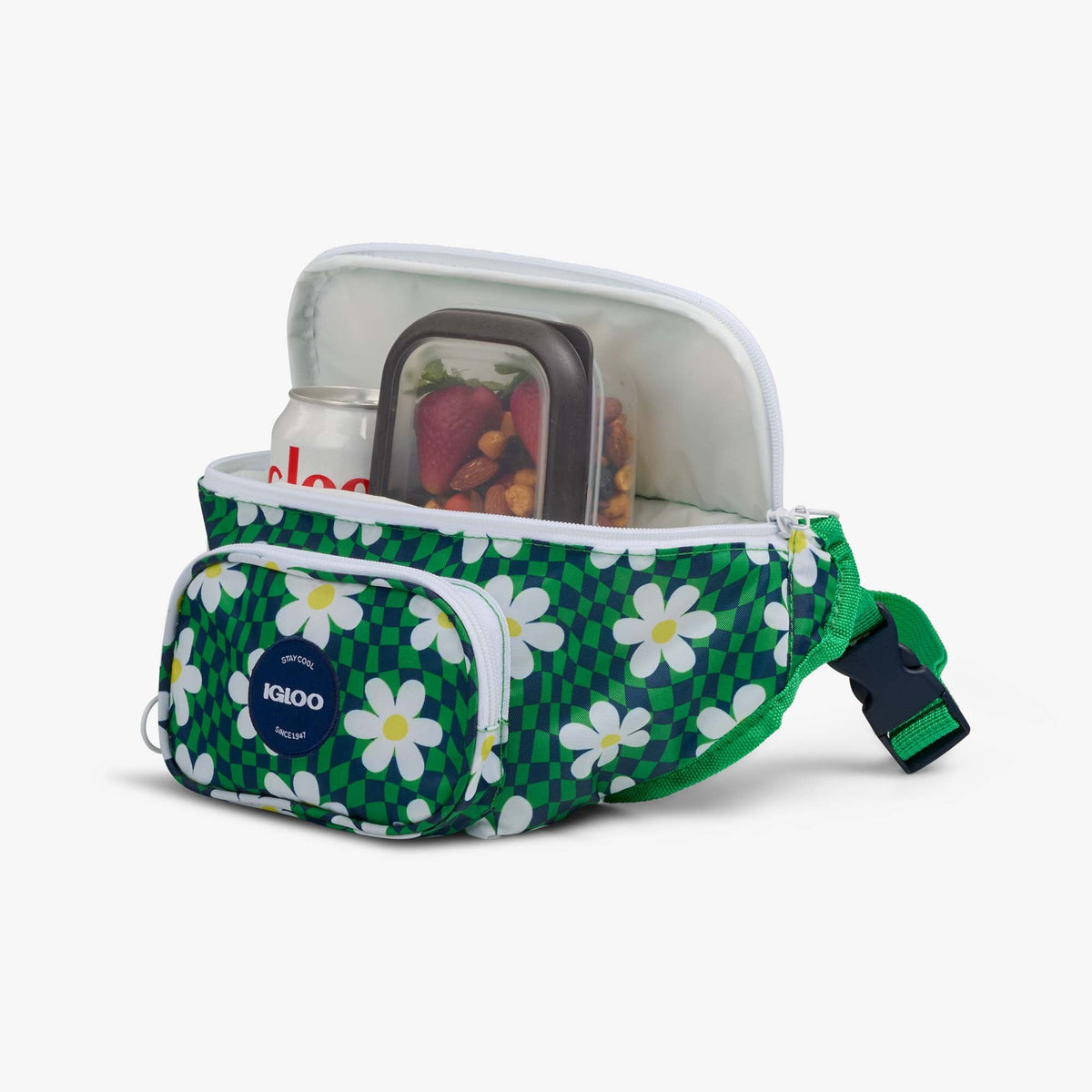 retro-fanny-pack-e2 00067206-P1.jpg
